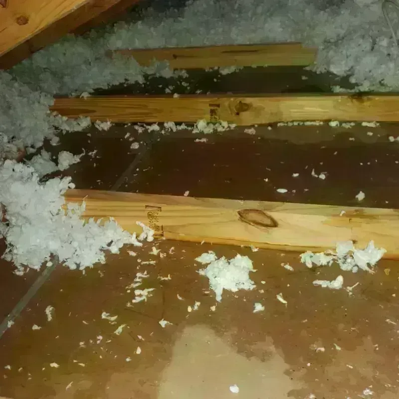 Attic Water Damage in Patterson Tract, CA