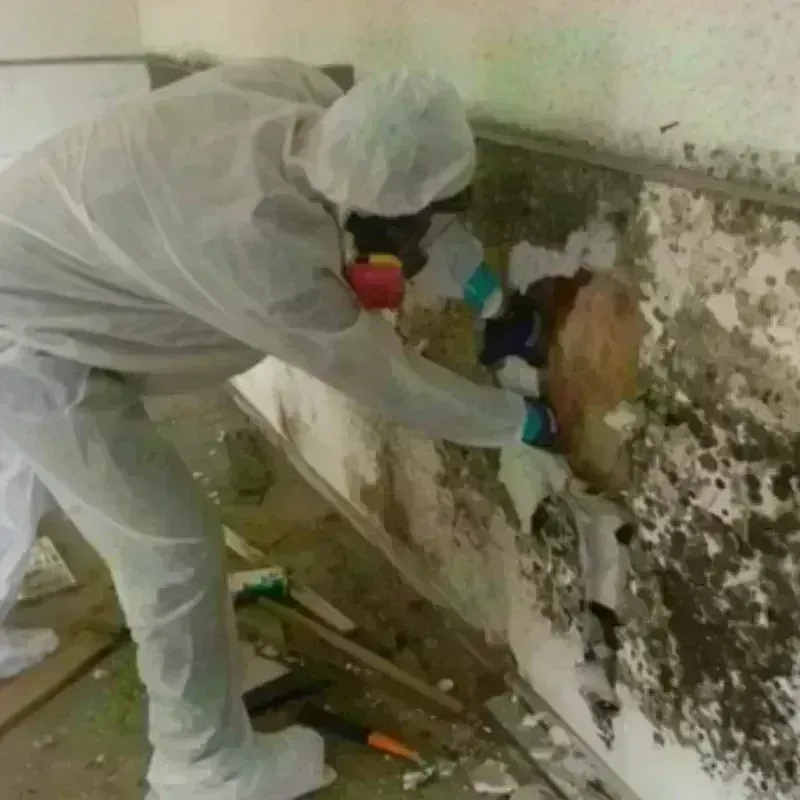 Mold Remediation and Removal in Patterson Tract, CA